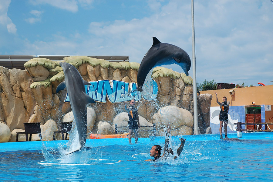 înotul cu delfinii la Marineland, Mallorca