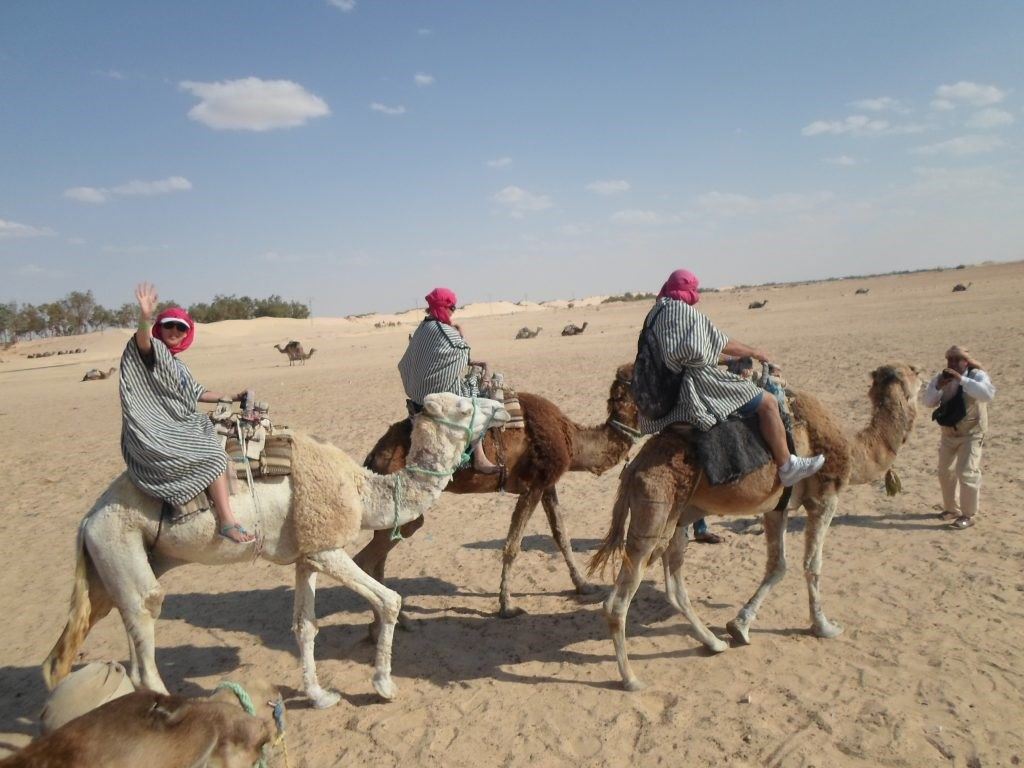 plimbare cu cămila în vacanța - Tunisia