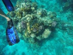 Scuba diving în Marea Roșie, Sharm El Sheikh - ANCAPAVEL.RO