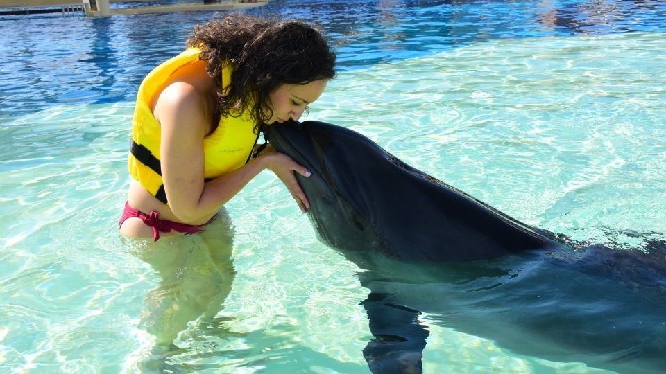 inot cu delfinii Land of Legends Antalya