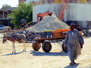 Sejur all inclusive în Hurghada, Egipt