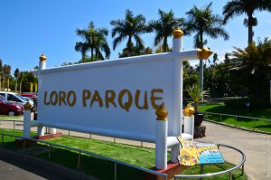Loro Parque Tenerife