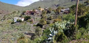 Excursie la Masca, Tenerife - ANCAPAVEL.RO