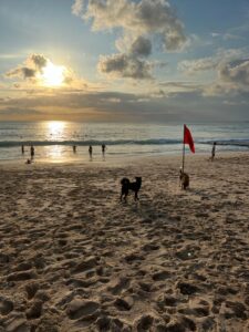 vacanta in Bali