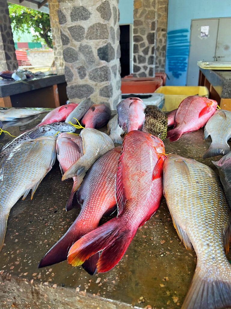 Pieța de pește, Victoria, Seychelles