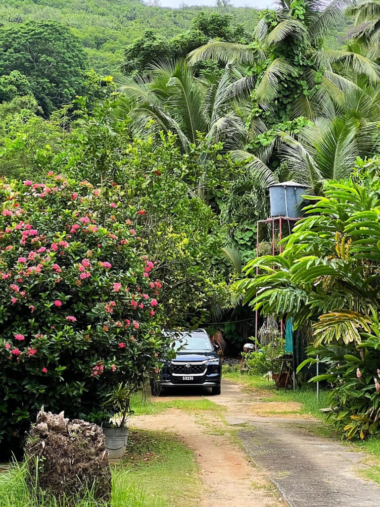 Paradisul verde din Seychelles
