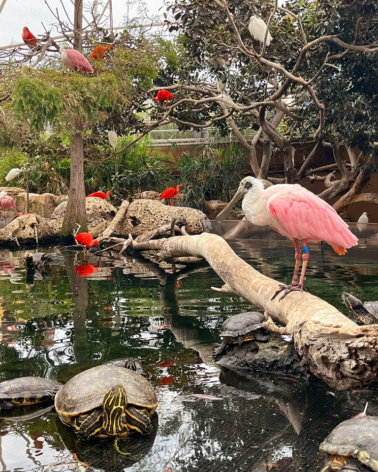 Bioparc Valencia, atractii turistice