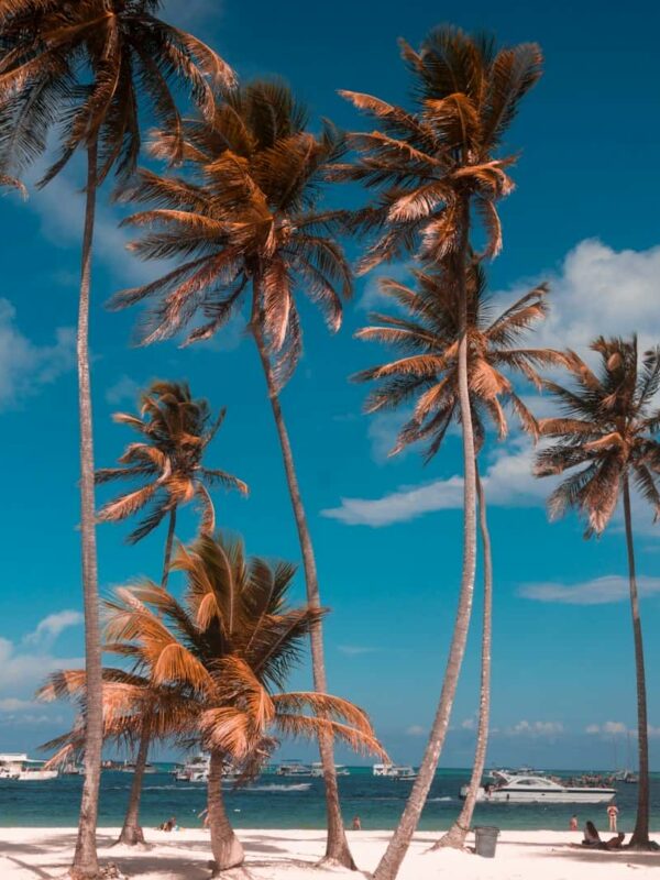 oferta vacanta Republica Dominicana