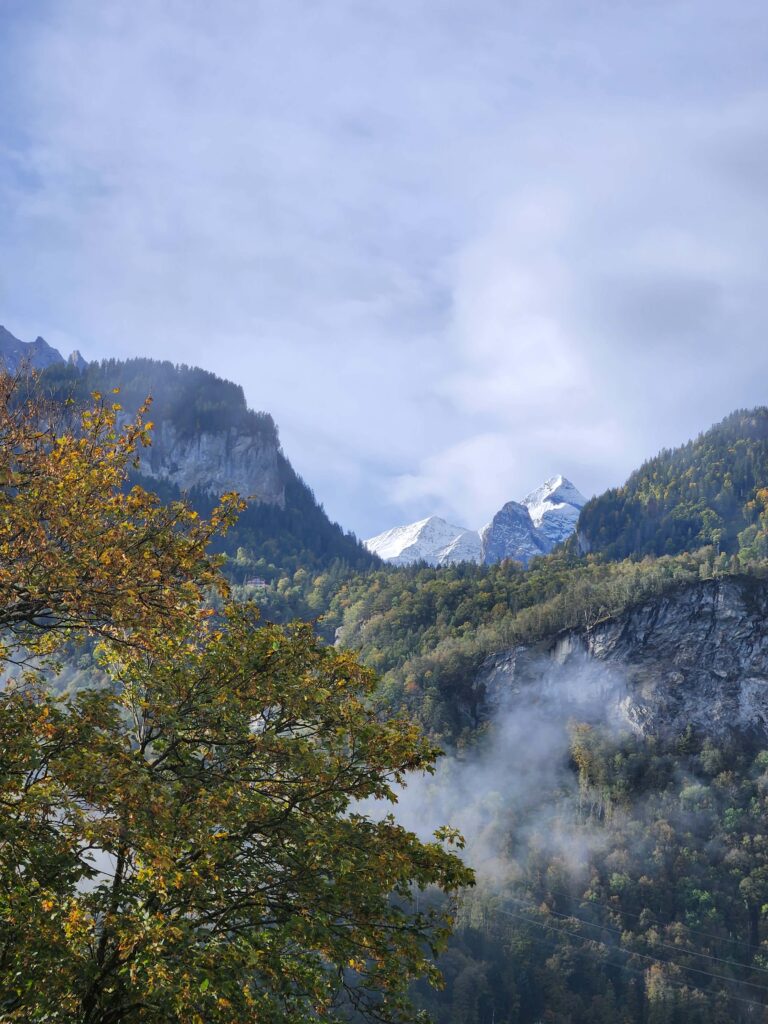 Meiringen, Elveția