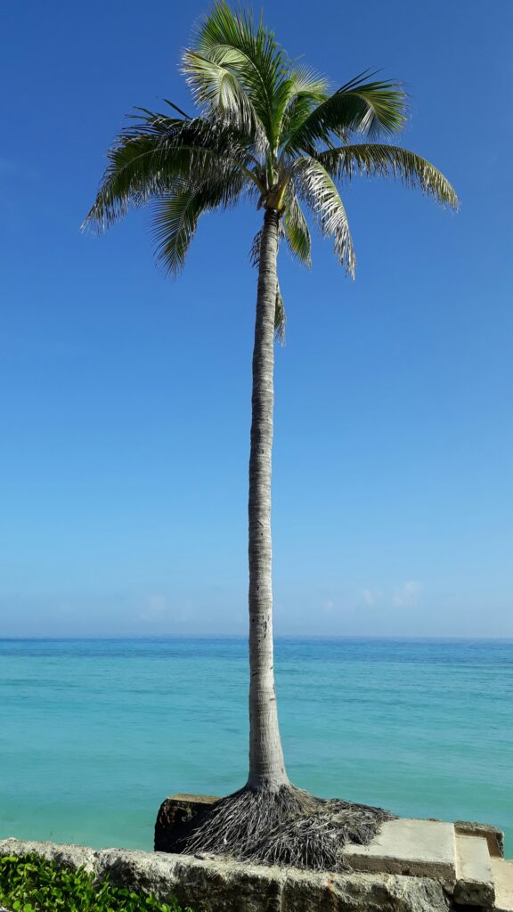 Plaja Varadero, Cuba, foto Pedro Yuniesky Rodríguez Martínez on Unsplash