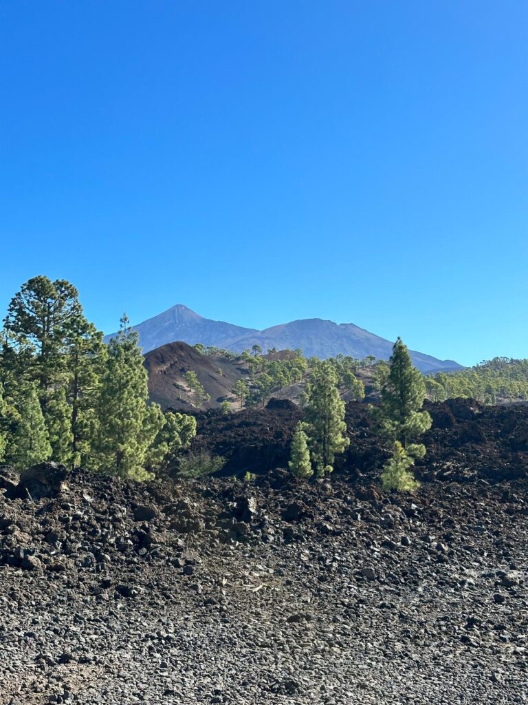 Excursie teide tenerife