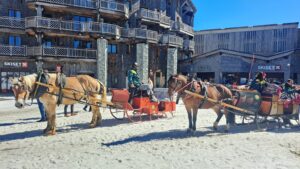 vacanta ski Avoriaz