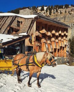 vacanta ski Avoriaz