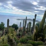 Jardin Exotique