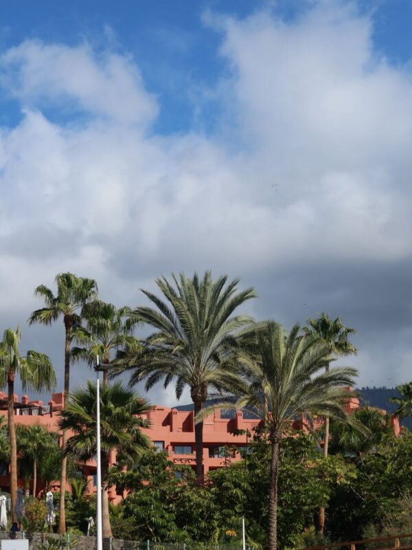 vacanta Tenerife pareri